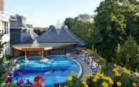 Swimming pool of Thermal Hotel Heviz